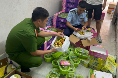 Hà Nội liên tiếp phát hiện hoa quả nhập lậu – cảnh báo những nguy hại tiềm ẩn